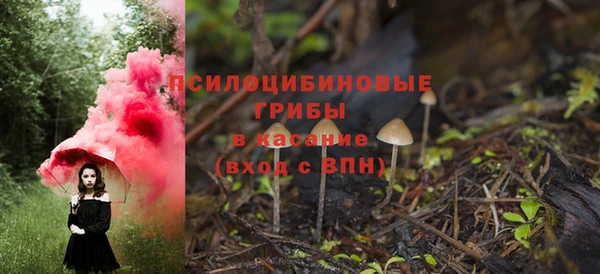 индика Абаза