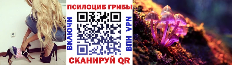 omg зеркало  Краснокамск  Галлюциногенные грибы Magic Shrooms 